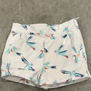 Janie & Jack White Shorts